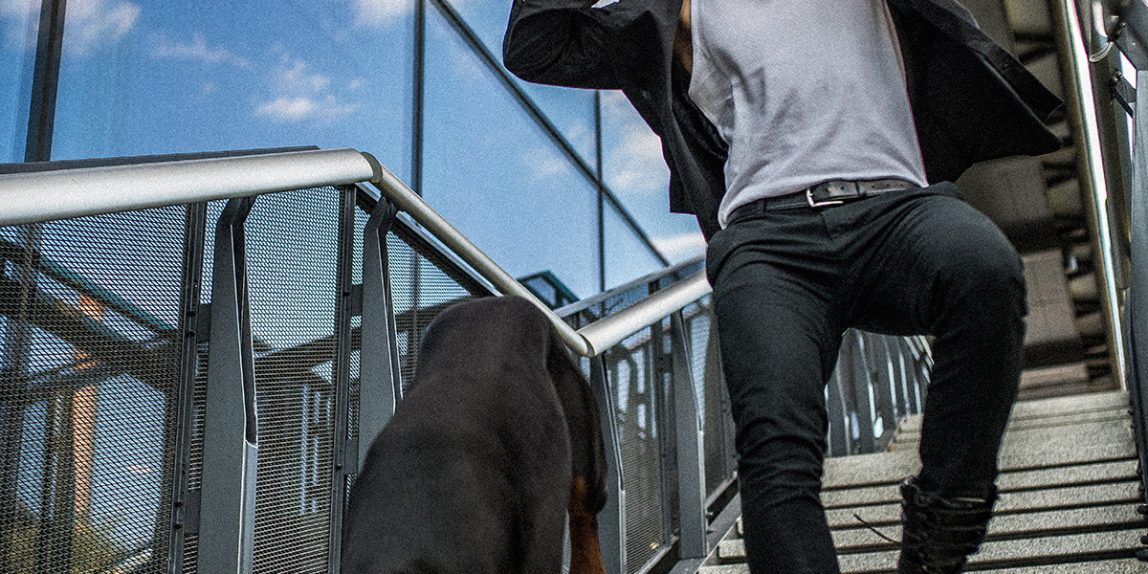 sesja mody z psem rasy doberman