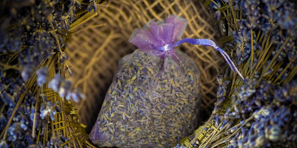 Zdjęcie produktowe - Las Lawenda