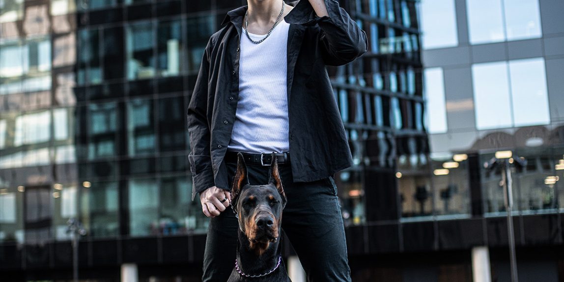 sesja mody z psem rasy doberman