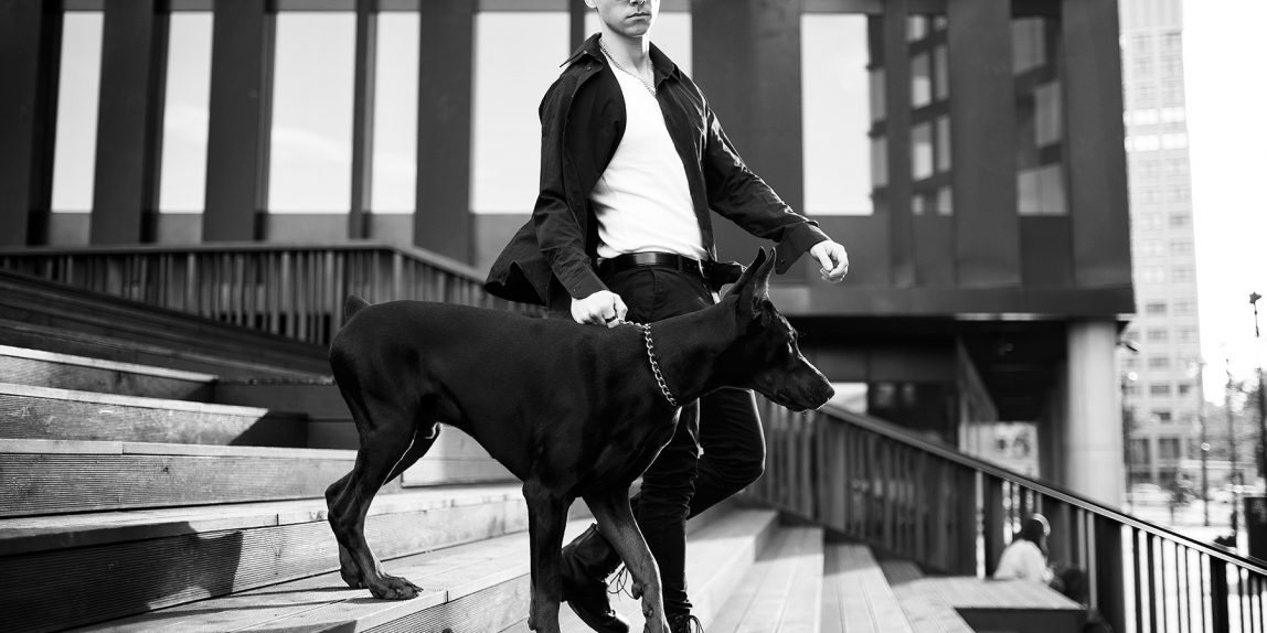 sesja mody z psem rasy doberman
