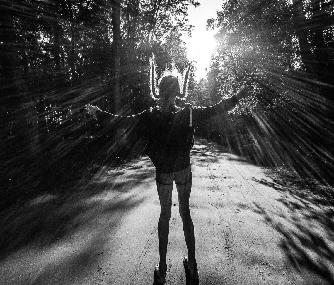 Leśna droga pod słońce