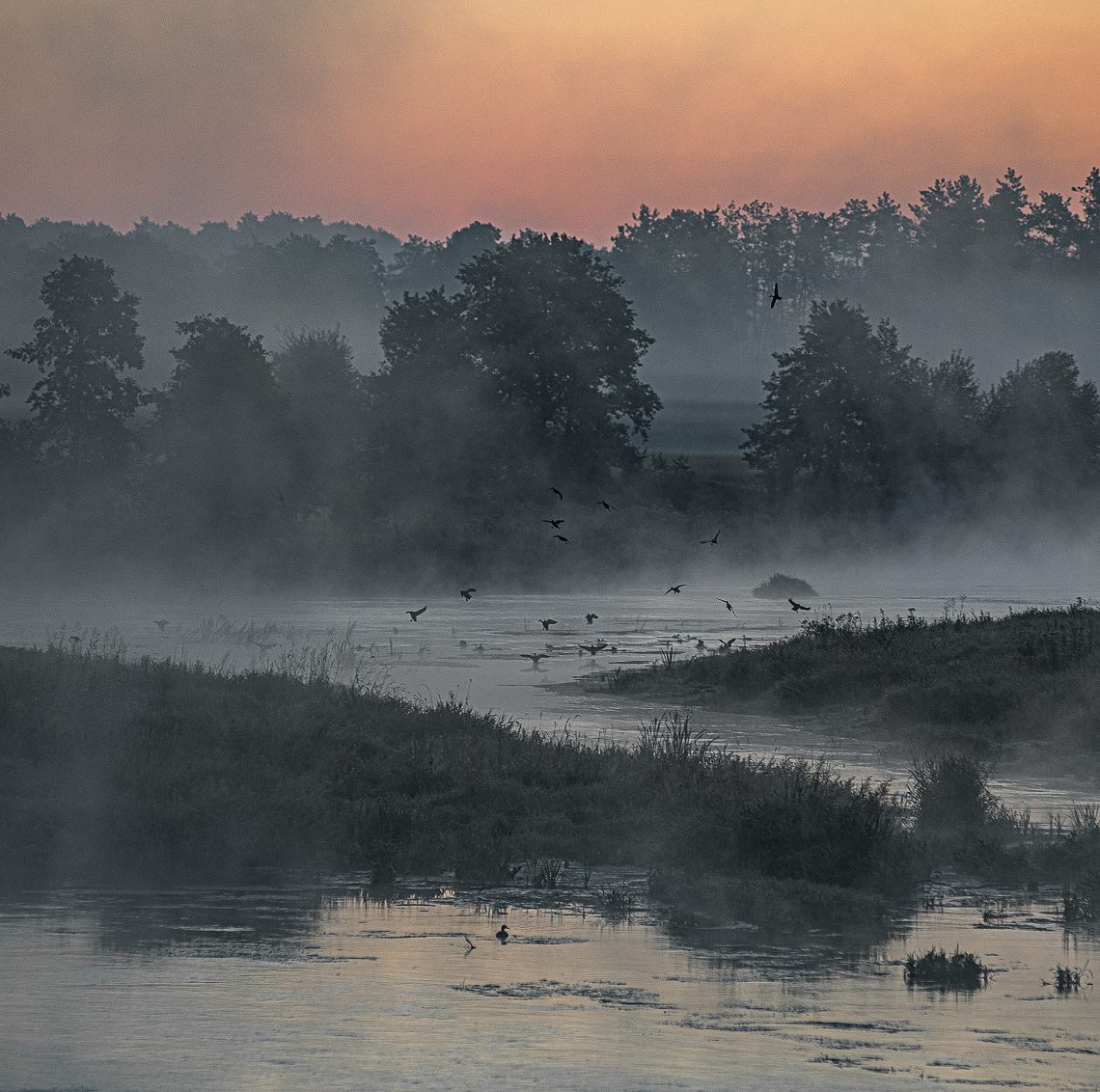 Pilica mglista i nostalgiczna